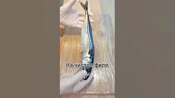 Самый простой способ как разделать скумбрию на чистое филе!