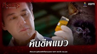 คืนชีพแมว | HIGHLIGHT ศีรษะมาร EP2 | ช่อง8