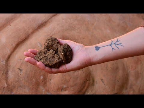 Vídeo: Afrouxando o solo compactado: como melhorar a compactação do solo