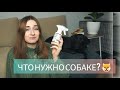 ОБЗОР НА ВСЕ ВЕЩИ МОЕЙ СОБАКИ! 🐶 ЧТО нужно ДЛЯ СОБАКИ? ПОКУПКИ ИЗ ЗООМАГАЗИНА + ПРОМОКОД НА СКИДКУ