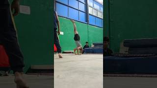 #14 ADDING ONE HANDSTAND PUSHUP EVERYDAY