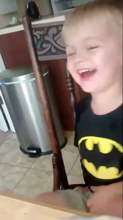 Nolan is amused    Rachel Ryan Wishum