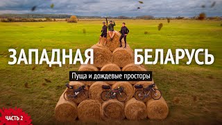 На велосипедах по Беловежской Пуще. Едем до Гродно. Часть 2