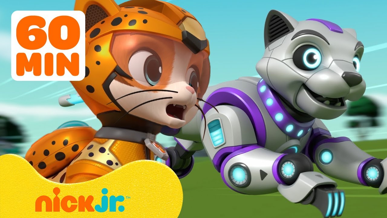 PAW Patrol  Cat Pack vs Robot Cat Meow Meow w Chase  Robo Dog  1 Hour Compilation  Nick Jr