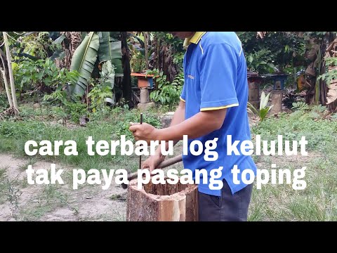 Video: Nasihat Untuk Pemelihara Lebah Baru. Bahagian 3