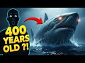Top 5 Animals That Live Over 100 Years The Last One Is INSANE!