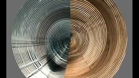 Aleksandra Đokić - METAMORPHOSIS