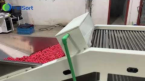 Cherry tomato sorting machine, vegetable adjustable grading equipment, fruit processing line