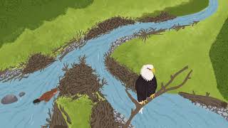 The Nooksack River: Nature of Change