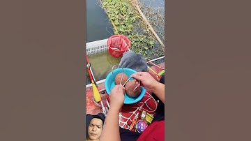 Nay đi câu cá vợ gọi quyết không về #fishingvideo #batca #caulure #caucaedu #cauca #caucasong#fish