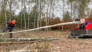 🌲Chopped a 10 meter log in a second! Unreal Branch Logger!