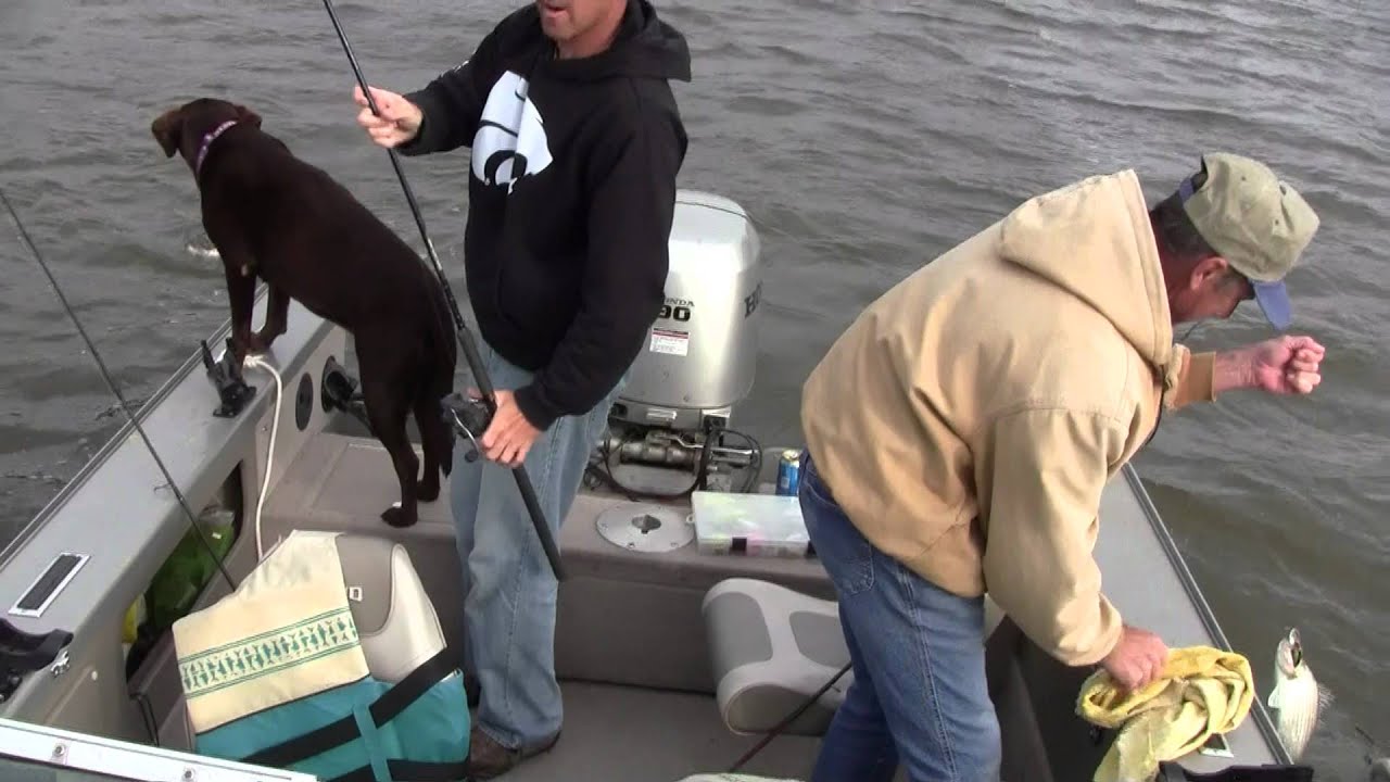 Snagging Spoonbill Paddlefish with Crankbaits at lake of the ozarks