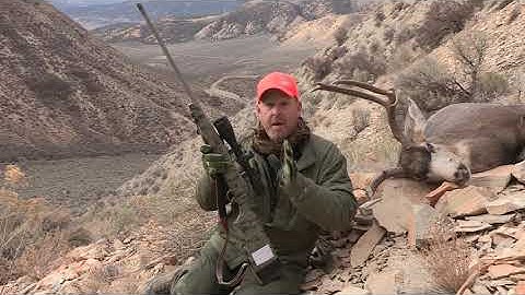 Trijicon Tip — Tim Herald on Long-Range Accuracy