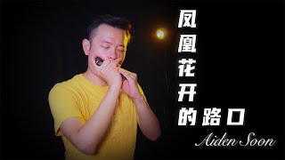 林志炫 [凤凰花开的路口] - Aiden Soon cover