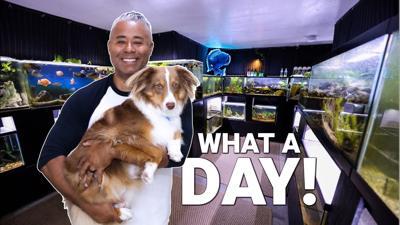 What It Is Like Having An AQUARIUM CAREER!