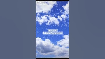 Visual Snow Syndrome be like...