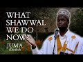 What shawwal we do now  jubril alao