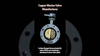 Hebei Cantai Valves is a modern, specialized manufacturer of marine valves.