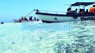 Diani Dreams: A Virtual Staycation in Kenya's Coastal Paradise!