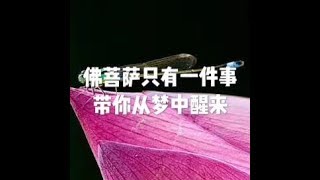 201806 佛菩萨只有一件事 带你从梦中醒来50324