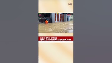 265 hộ dân ở Hà Tĩnh bị cô lập trong nước lũ sau bão số 10| Báo Văn Hóa