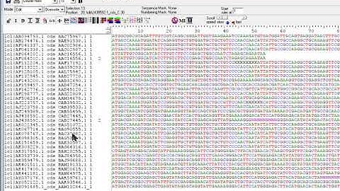 Sequence Extraction using bioedit Part 2