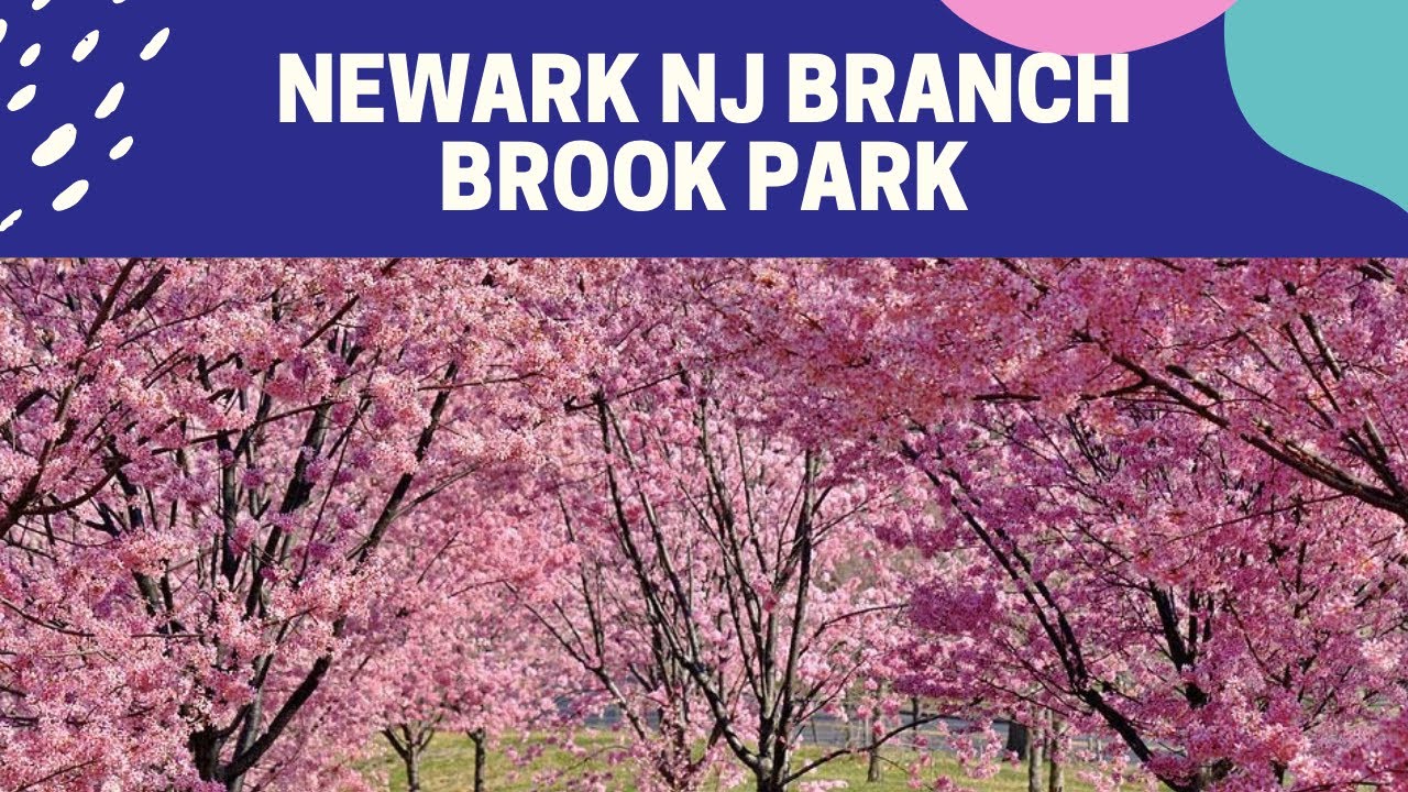 Newark New Jersey Park AveParks and CreationBranch Brook Park Newark