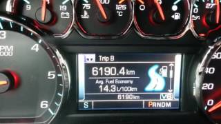 trip and Fuel economy in cluster display