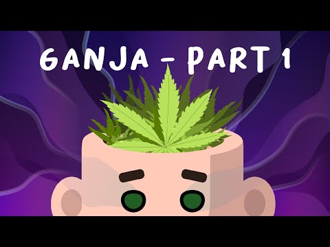 Bagaimana Ganja Mempengaruhi Badan? | Mengenal Ganja Part 1