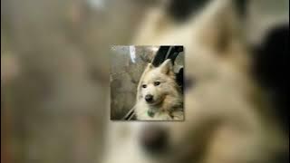 dekat di hati - ran (slowed   reverb)