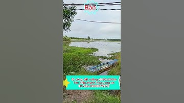 10 công đất ruộng,tân hiệp,thạnh hóa,Long an .giá 130tr/ công