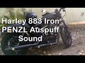 Harley Davidson 883 Iron - Penzl Auspuff vs. Original Sound