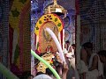 ഗുരുവായൂർ നന്ദൻ#shortsfeed #shorts