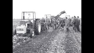Standen | Green For Go! | Sugar Beet Harvesters | 1974