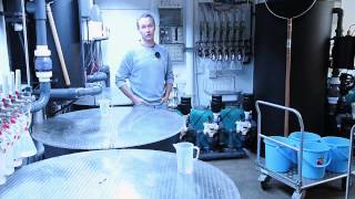 Modern Koi Blog #23 - Chris Vietoris and the Tosai Doitsu Chagoi