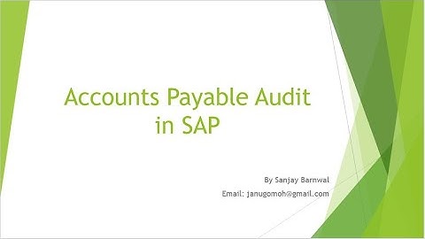 Accounts Payable Audit in SAP
