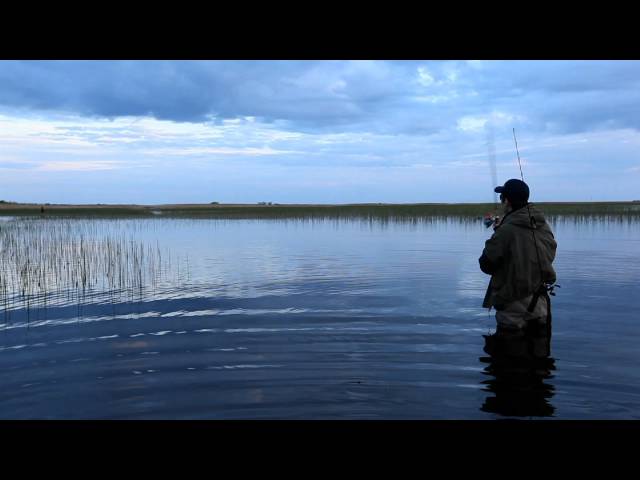 Видео о рыбалке №261