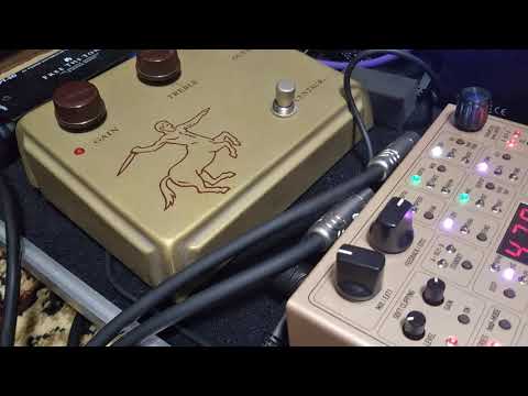 L'Arc～en～Ciel guitar solo with ken Signature FUTURE FACTORY FF