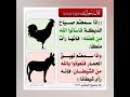 اذا سمعتم صوت الحمار دعاء مستجاب ستوريات دينية اذكار مميزة دون صوت اذا سمعتم صوت الحمار دعاء مستجاب ستوريات دينية اذكار مميزة دون صوت