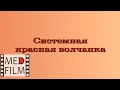 Системная красная волчанка © Systemic lupus erythematosus