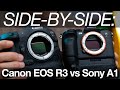 Side by Side: Canon EOS R3 vs Sony A1