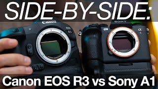 Side By Side Canon Eos R3 Vs Sony A1