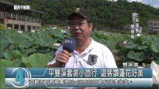 1040603觀天下新聞HD08 雙溪區平雙溪套裝小旅行 遊客讚蓮花好美