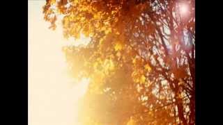 Autumn Wallpaper- Baseball Bat In A Knife screenshot 2