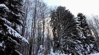 Италия, как на войне.