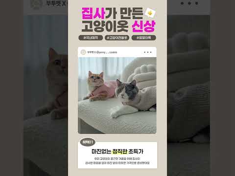 고양이 김장 깔깔이옷 추천!