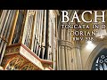 BACH - TOCCATA IN D MINOR "DORIAN" BWV 538 - JONATHAN SCOTT ORGAN