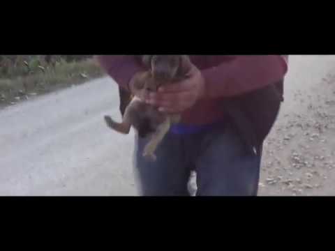 rescuing two homeless puppies || love animals || do not leave our little brothers