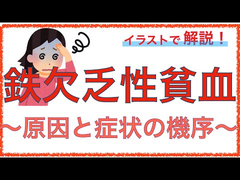 教科書をわかりやすく！「鉄欠乏性貧血の原因と症状とは」胃切除で貧血になる機序とは？