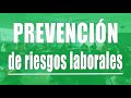 7. LA POLÍTICA DE PREVENCIÓN DE RIESGOS LABORALES